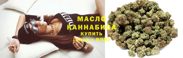 молекула духа Горнозаводск