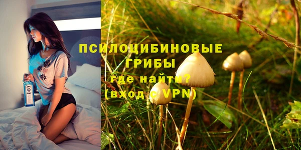 винт Горняк
