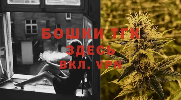 винт Горняк