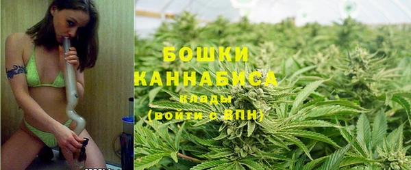 молекула духа Горнозаводск